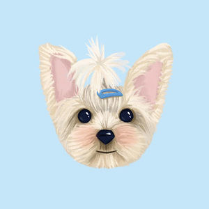 Meet your Posher, Elva